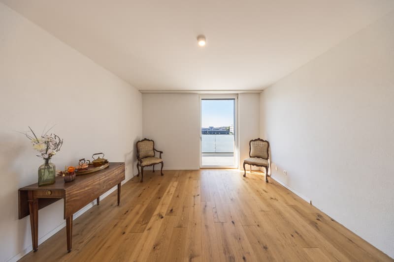Appartement attique de standing, moderne et lumineux (11)