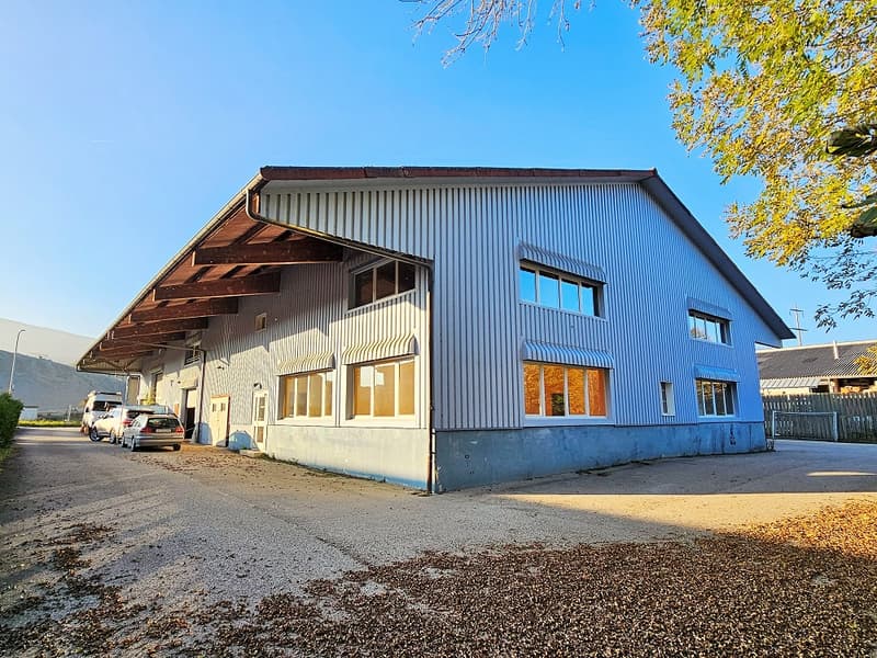 Halle artisanale mitoyenne | homegate.ch