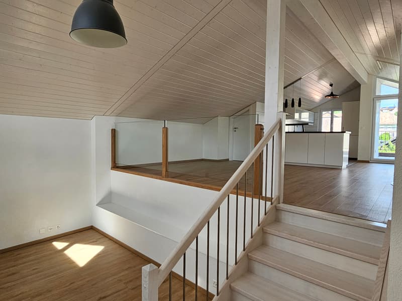 Appartement atypique avec terrasse au soleil couchant (5)