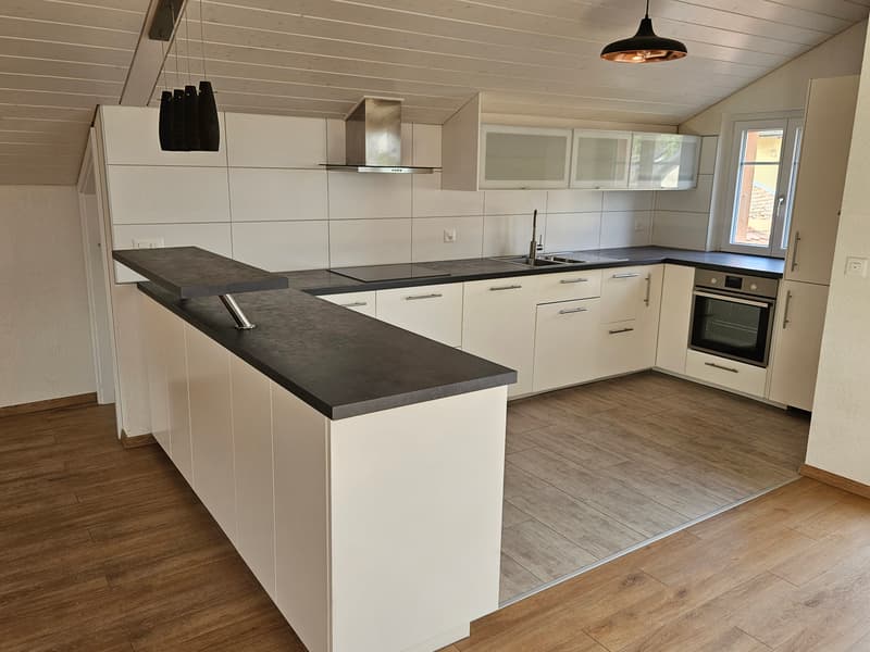 Appartement atypique avec terrasse au soleil couchant (3)