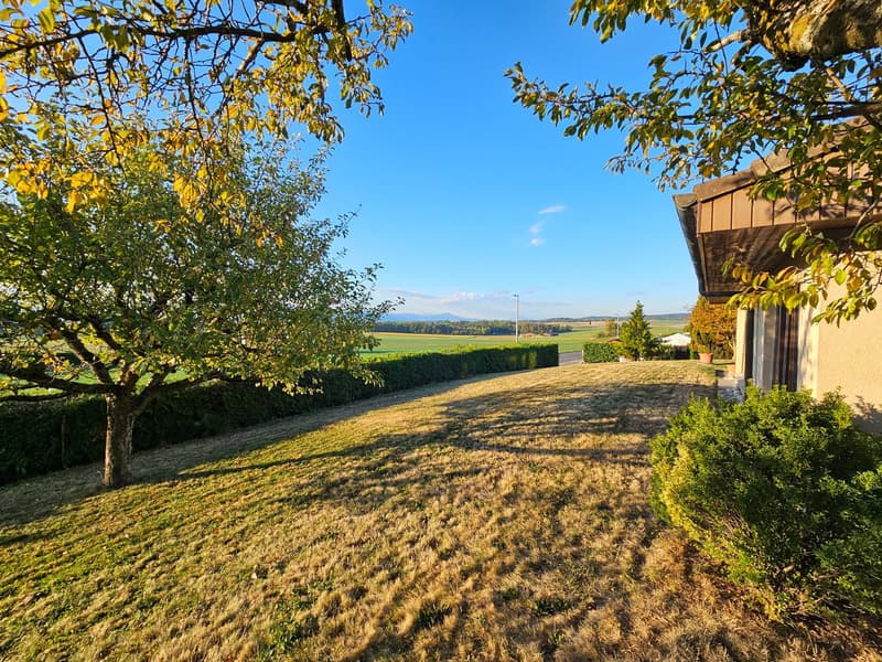 Villa individuelle avec magnifique dégagement sur la campagne et les Alpes (4)