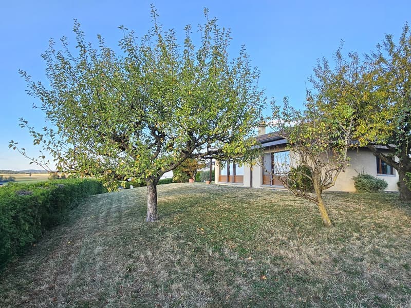 Villa individuelle avec magnifique dégagement sur la campagne et les Alpes (3)