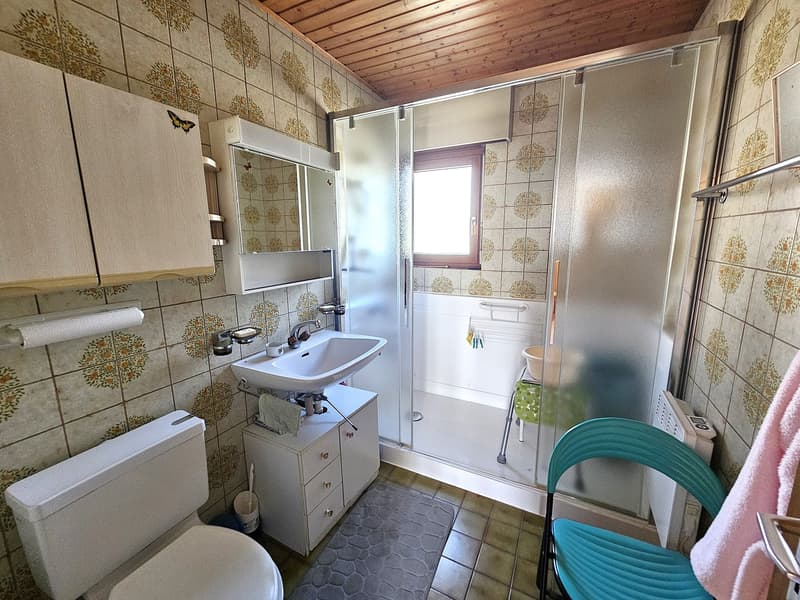 Villa individuelle avec magnifique dégagement sur la campagne et les Alpes (9)
