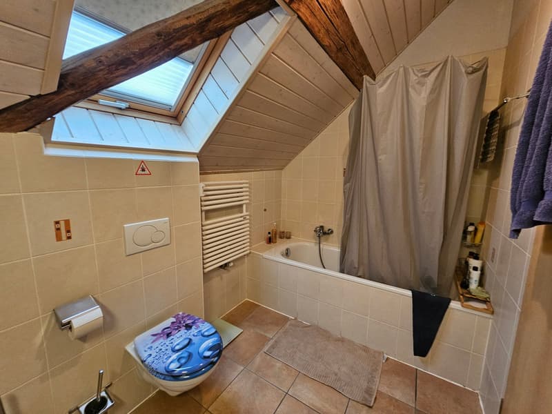 Maison villageoise de caractère (9)