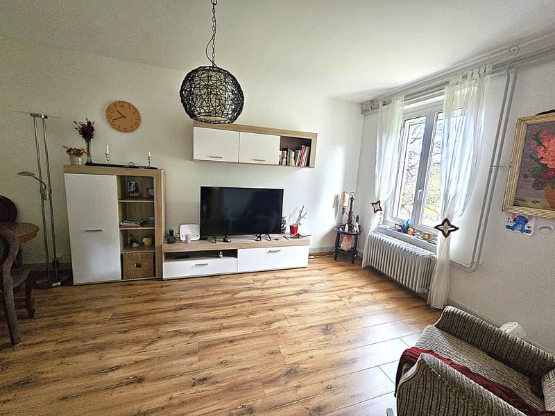 2'170 m2 en zone constructible (7)