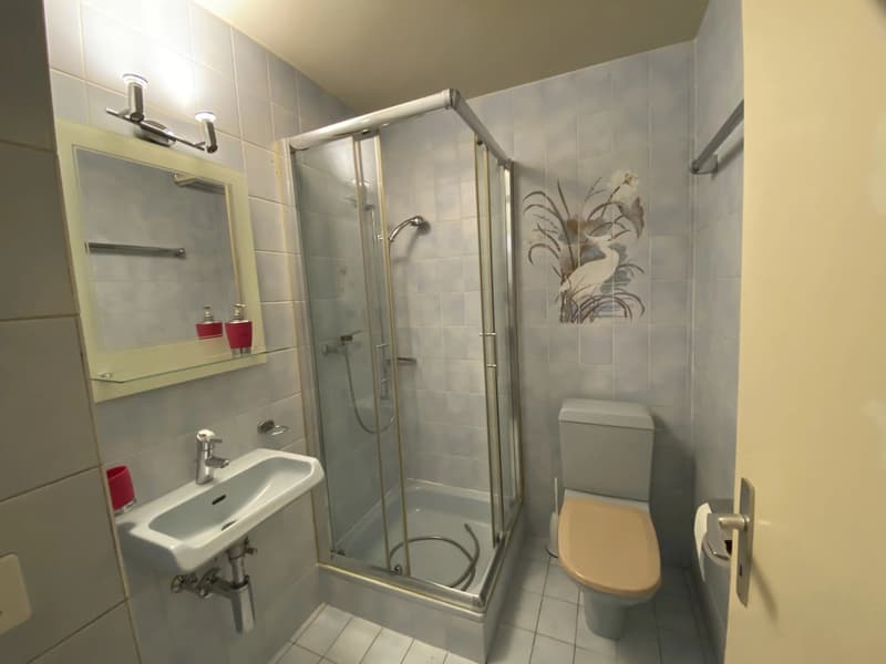Appartement en duplex et attique de 4,5 pièces avec terrasse (8)