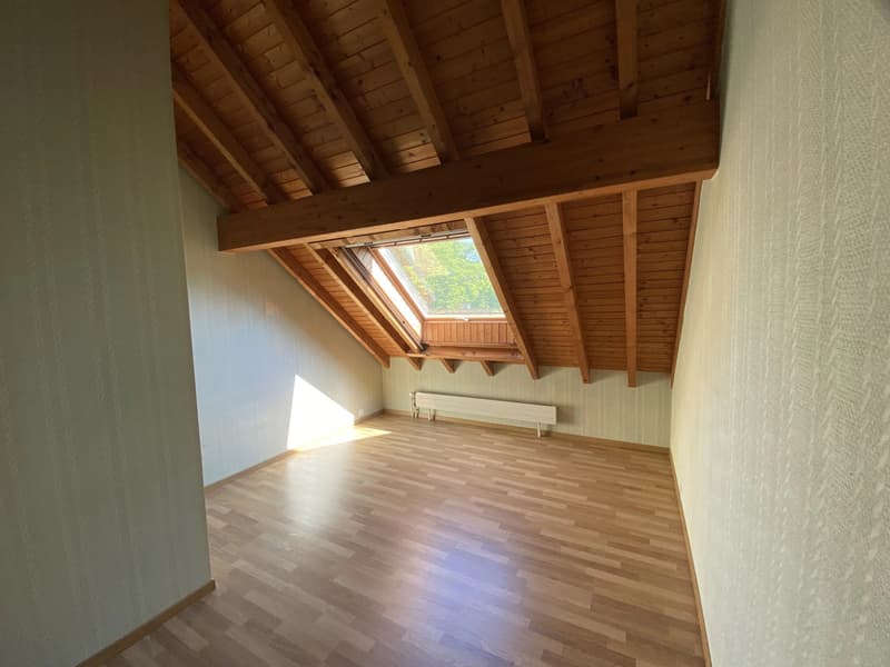 Appartement en duplex et attique de 4,5 pièces avec terrasse (5)