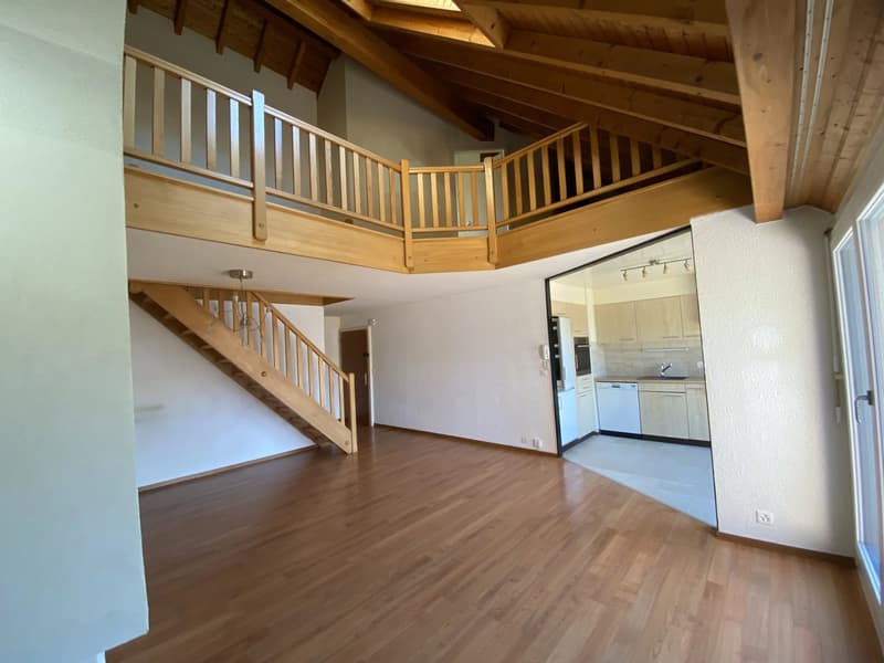 Appartement en duplex et attique de 4,5 pièces avec terrasse (3)