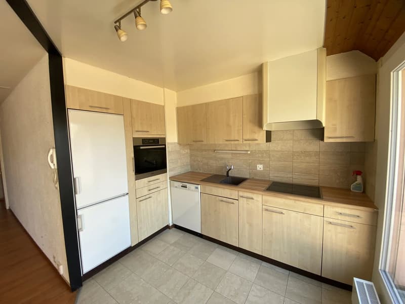 Appartement en duplex et attique de 4,5 pièces avec terrasse (4)