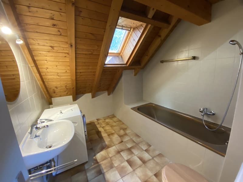 Appartement en duplex et attique de 4,5 pièces avec terrasse (7)