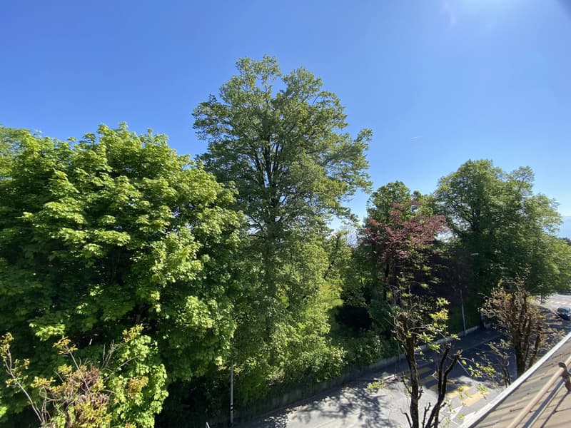 Appartement en duplex et attique de 4,5 pièces avec terrasse (9)