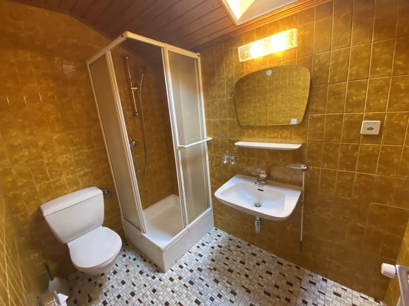 Charmante maison de 7 pièces à Bex (6)