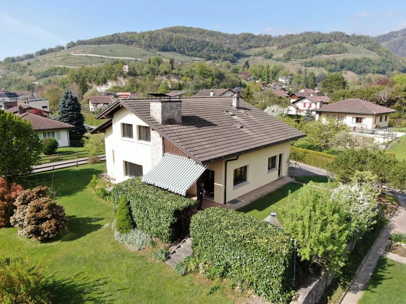 Charmante maison de 7 pièces à Bex (10)