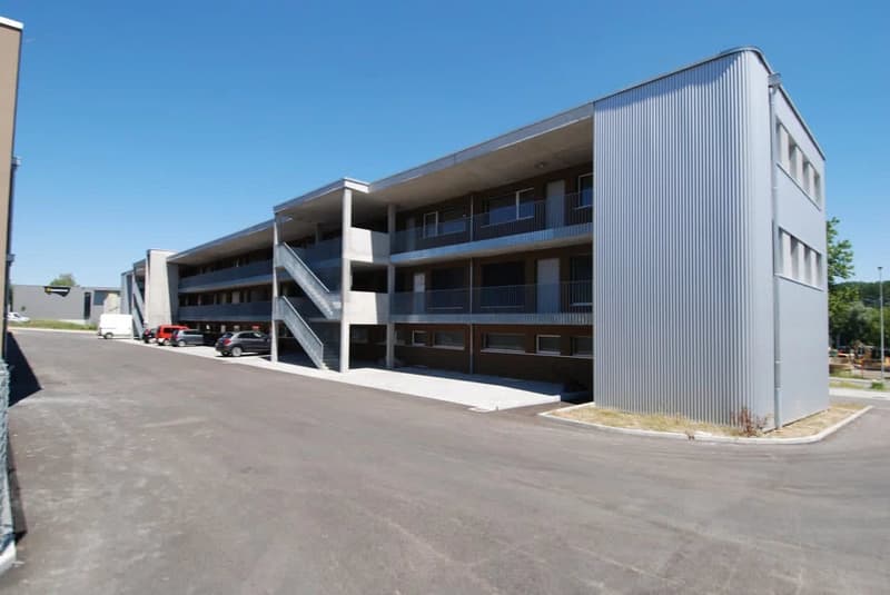 Appartement meublé en attique de 2 pièces avec terrasse. (3)
