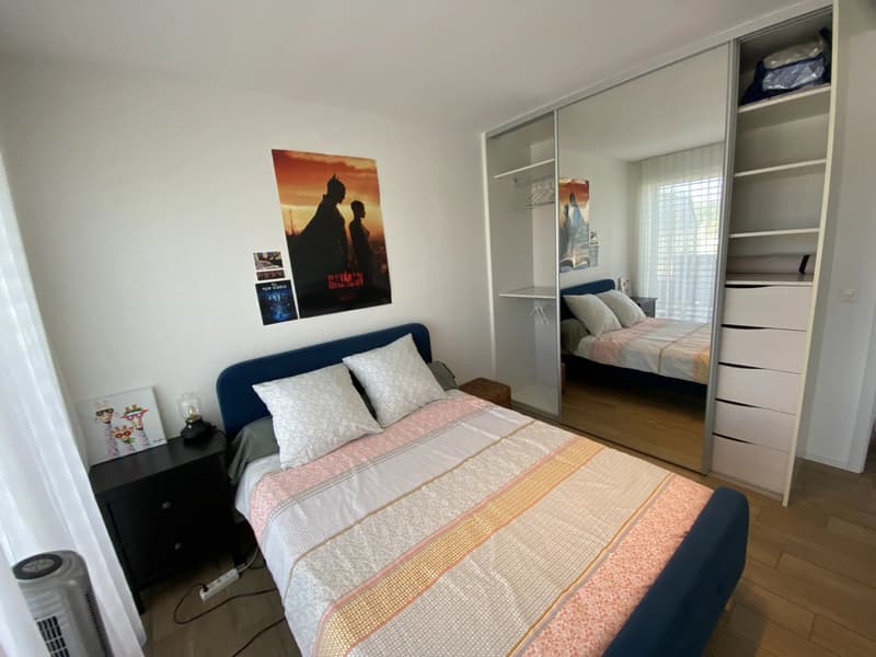 Appartement meublé en attique de 2 pièces avec terrasse. (7)