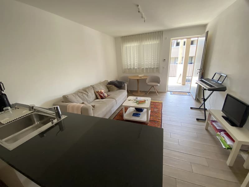 Appartement meublé en attique de 2 pièces avec terrasse. (8)