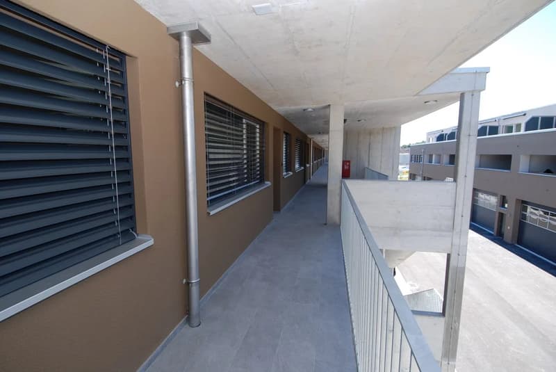 Appartement meublé en attique de 2 pièces avec terrasse. (4)