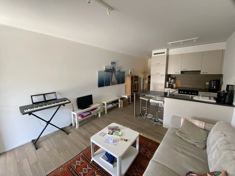 Appartement meublé en attique de 2 pièces avec terrasse. (9)