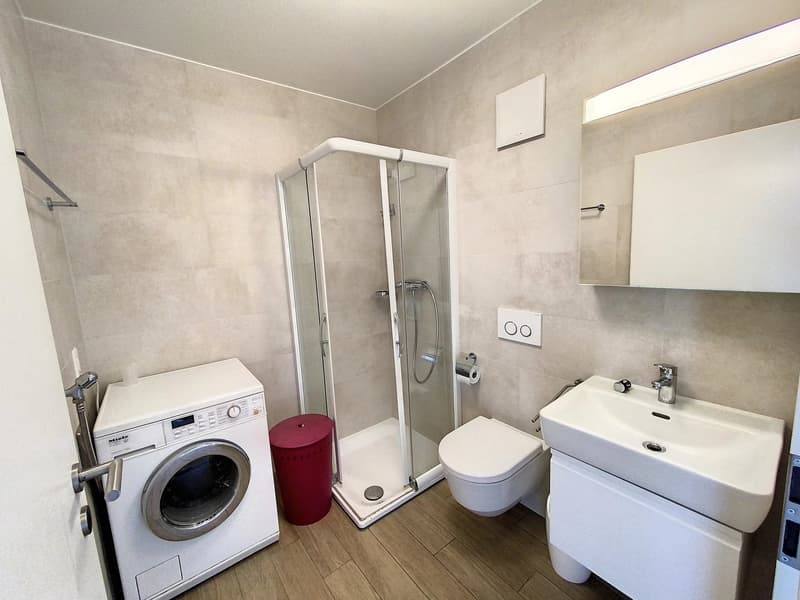 Appartement meublé en attique de 2 pièces avec terrasse. (1)