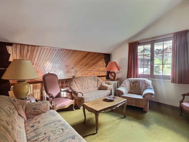 Grand chalet idéal pour une famille - terrain de 5'044 m2 (9)