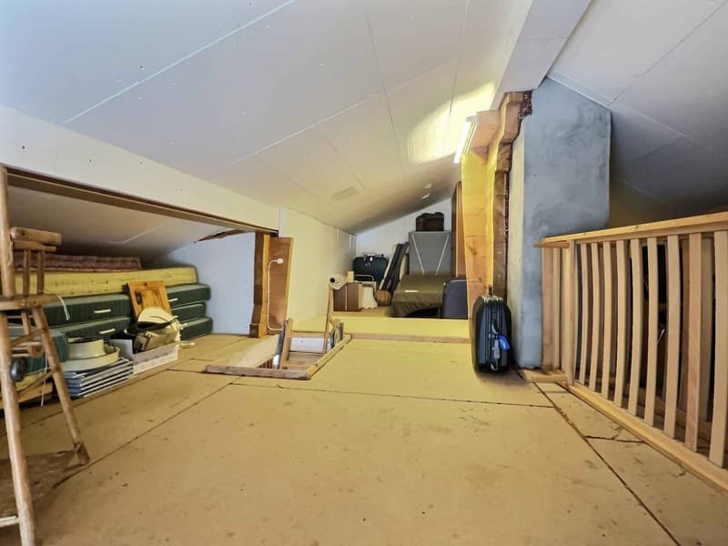 Grand chalet idéal pour une famille - terrain de 5'044 m2 (13)