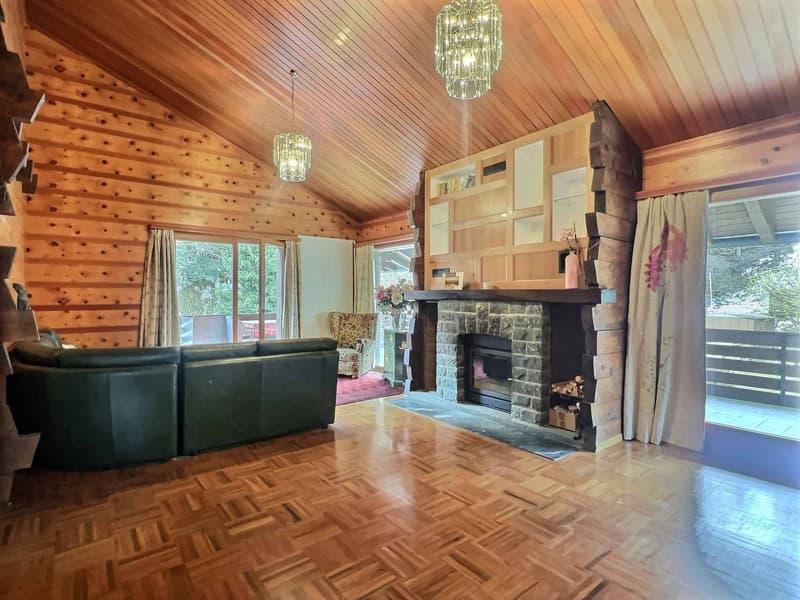 Grand chalet idéal pour une famille - terrain de 5'044 m2 (2)