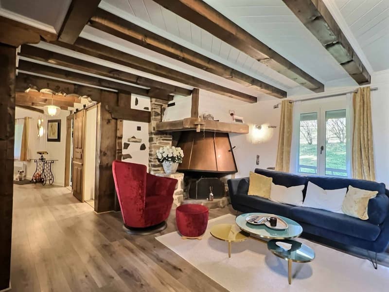 Magnifique chalet à Châtel-St-Denis ! (7)