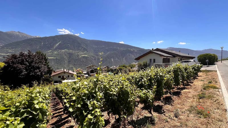 Terrain constructible sur la commune de Lens (3)