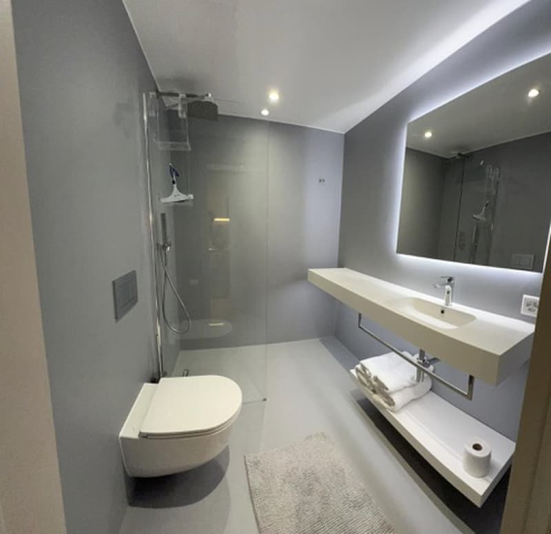 MAGNIFIQUE APPARTEMENT  MEUBLE DE 2P EN FACE EPFL & UNIL (12)
