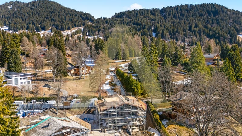 Votre résidence principale au coeur des Alpes vaudoises (6)