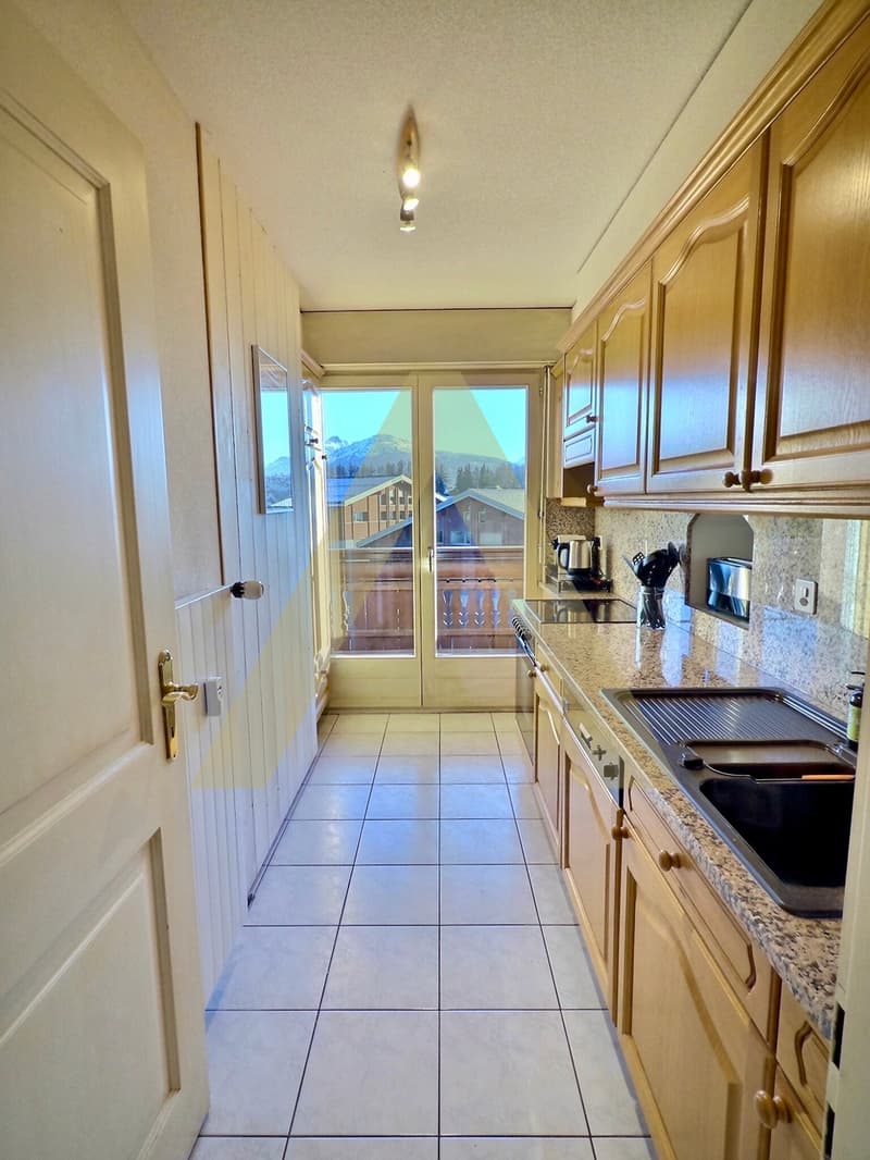 Appartement meublé 3,5 pièces lumineux avec grand balcon et accès spa (10)