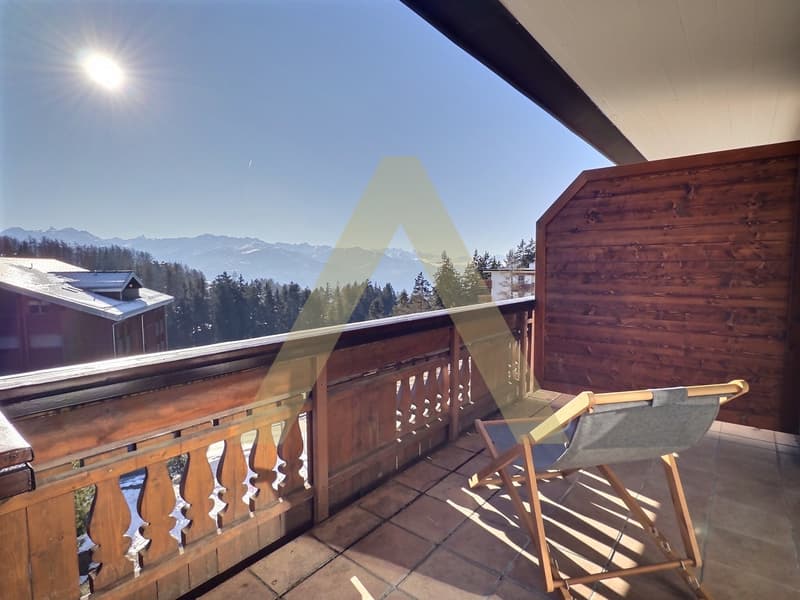Appartement meublé 3,5 pièces lumineux avec grand balcon et accès spa (3)