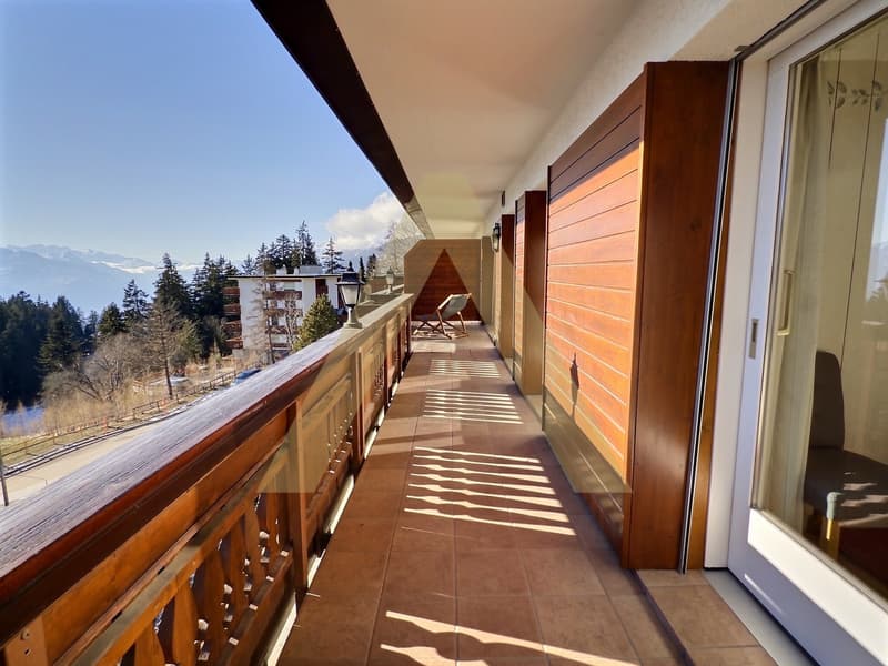 Appartement meublé 3,5 pièces lumineux avec grand balcon et accès spa (4)