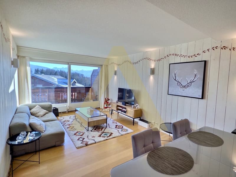 Appartement meublé 3,5 pièces lumineux avec grand balcon et accès spa (6)