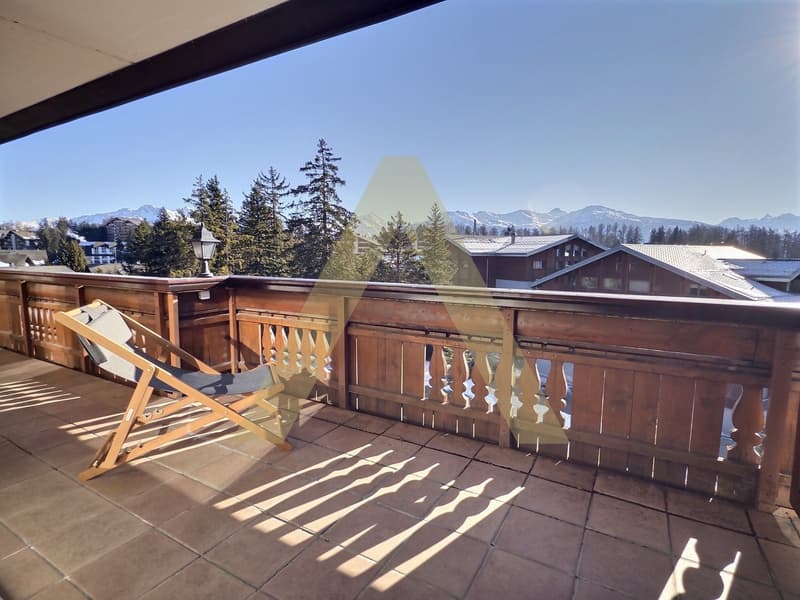 Appartement meublé 3,5 pièces lumineux avec grand balcon et accès spa (2)