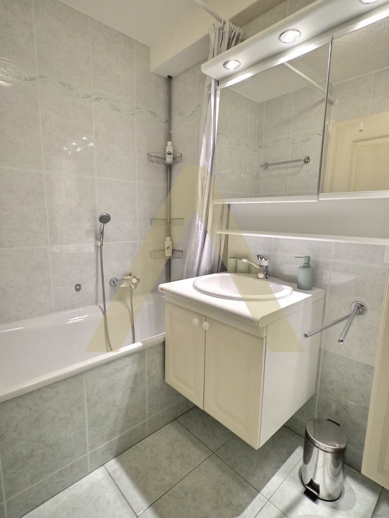 Appartement meublé 3,5 pièces lumineux avec grand balcon et accès spa (12)