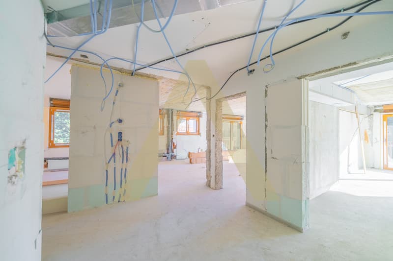 Magnifique appartement entièrement rénové à Crans-Montana (4)