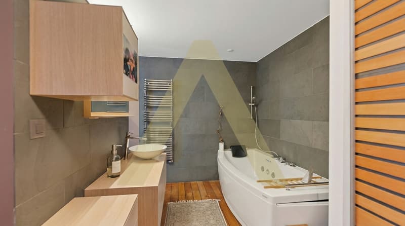 Spacieux et lumineux appartement en plein centre (6)