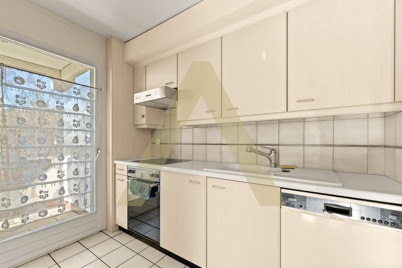 Spacieux appartement avec vue lac à couper le souffle (4)