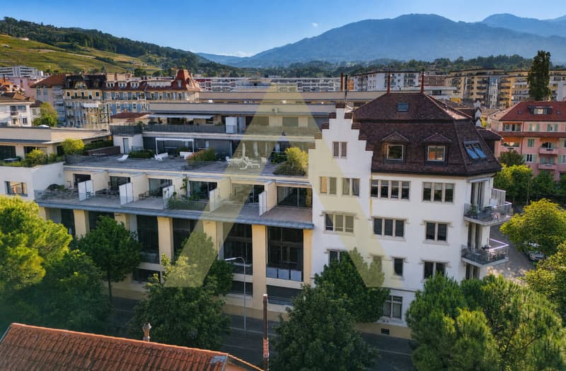 Duplex type loft avec grande terrasse et proche du lac (1)