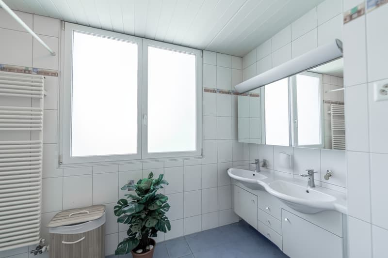 Somptueuse maison avec vue lac et piscine (12)