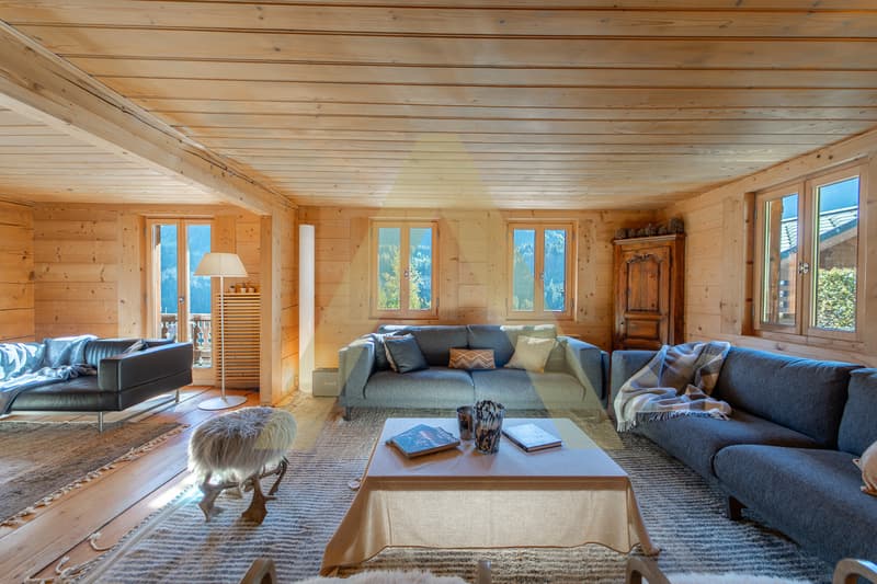 Propriété d'exception aux pieds des Portes du Soleil (3)
