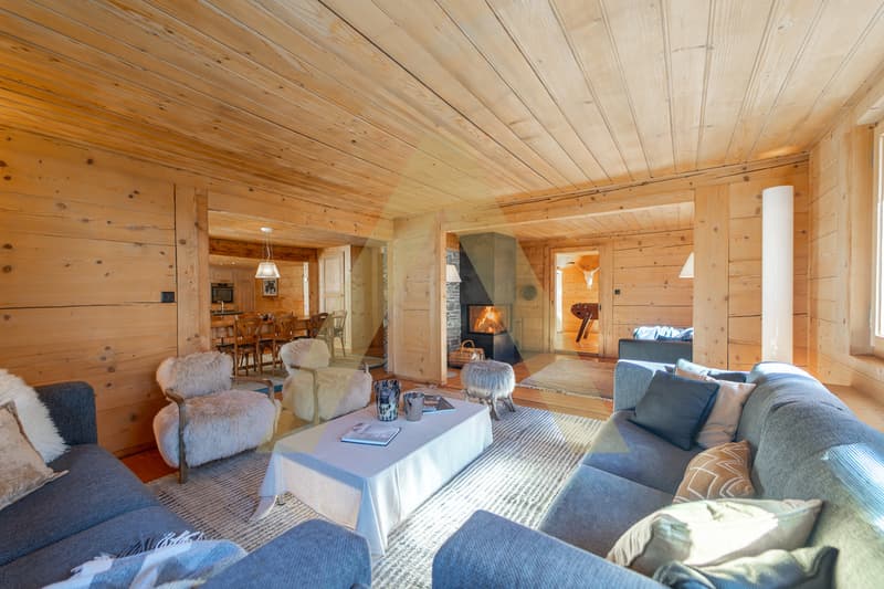 Propriété d'exception aux pieds des Portes du Soleil (4)