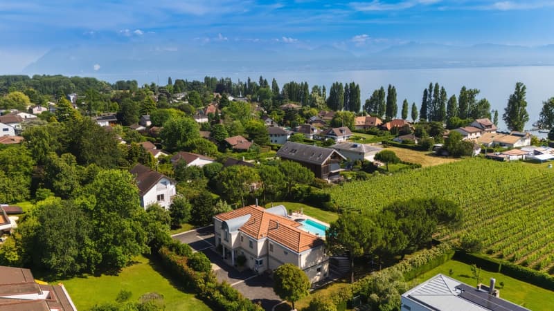 Somptueuse maison avec vue lac et piscine (2)