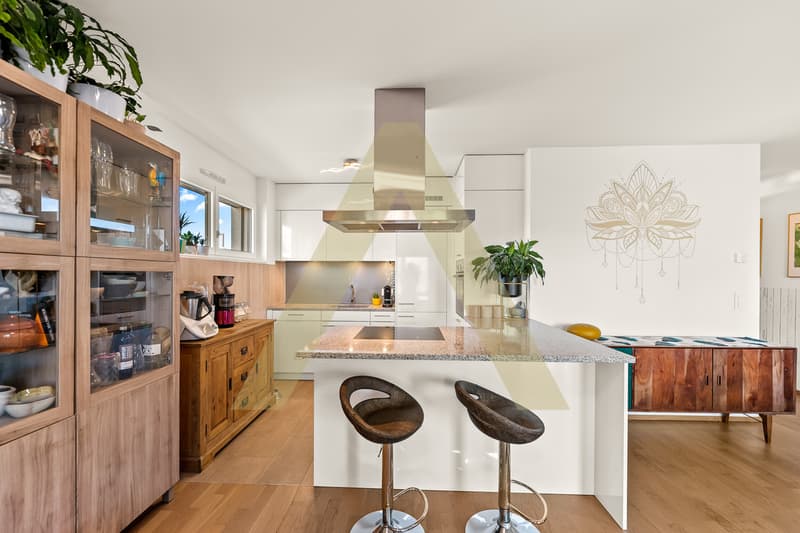 Confortable et contemporain appartement proche du lac (2)