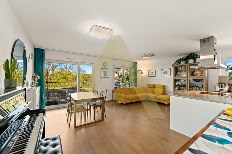 Confortable et contemporain appartement proche du lac (1)