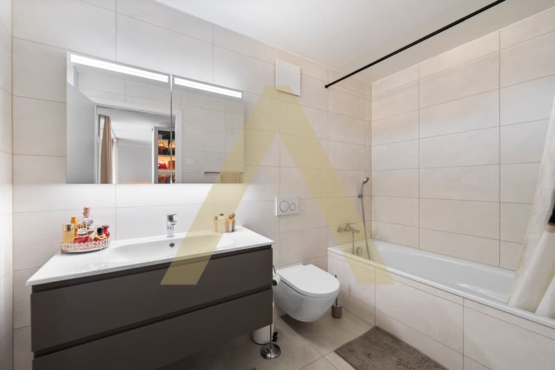 Lumineux appartement aux finitions élégantes (5)