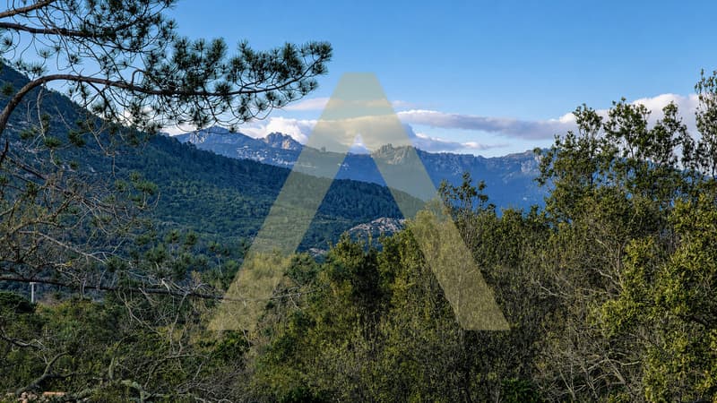 BERGERIE CONTEMPORAINE AVEC PISCINE AU COEUR DE LA CORSE DU SUD (4)