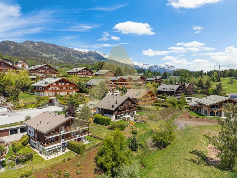 L'élégance alpine à deux pas du Golf Ballesteros (12)