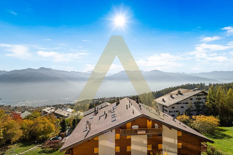 Très bel appartement avec vue imprenable (3)